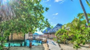 Read more about the article Un séjour en Polynésie pour explorer les merveilles de ses îles