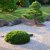 Comment créer un jardin zen